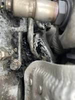IMG_8319.jpeg