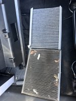 IMG_2020.jpeg