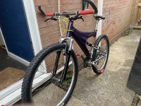IMG_6005.jpeg