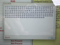 IMG_8546.jpeg