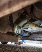 fiat 210725 WEB-1001.jpg