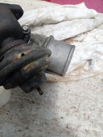 IMG_0519.jpeg