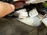 IMG_1384.jpeg
