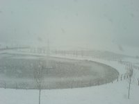 DSC04500.JPG