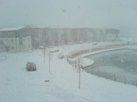DSC04501.JPG