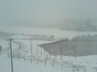 DSC04502.JPG