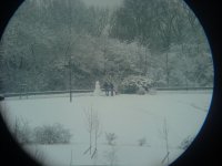 DSC04504.JPG