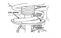spring cup 1.JPG
