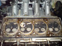 DSC00009.JPG