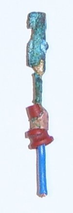 SV106253.jpg