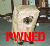 pwned_cat1_jpg_w300h275.jpg