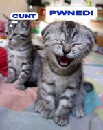 pwned1.jpg