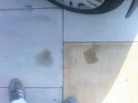 DSC00109.JPG