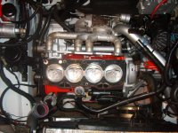 S5000601.jpg