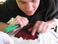 IMG_2430.JPG