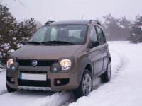 pandaCrossFrontLights.jpg