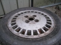 IMG_3644.JPG