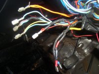 S7000918.JPG