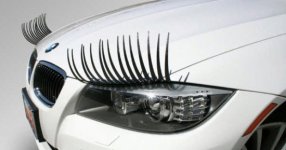 carlashes_550x289.jpg