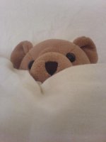 DSC00594.JPG