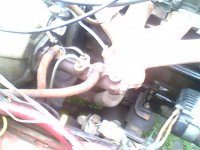 IMG0113A.jpg