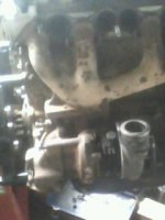 IMG0105A.jpg