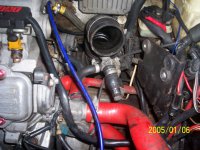 fiat uno 1 002.jpg