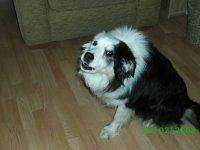 PICT0028.JPG