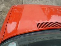 Bonnet faded & Shiny.JPG