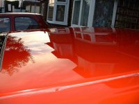 Shiny Roof1!.JPG