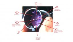 abarth 8 pin.jpg abarth 8 pin.jpg