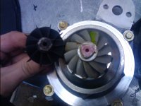 IMG_20110316_142745.jpg
