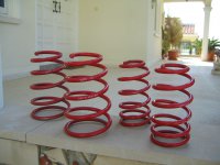 new suspension Springs 002.jpg