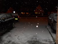 SDC10076.JPG