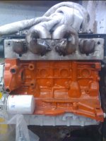 IMG_20110503_200322.jpg