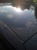 IMG_0378.JPG IMG_0378.JPG