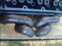 IMG_20110504_181504.jpg