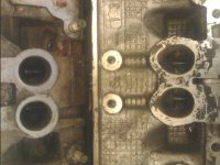 IMG_20101026_143608.jpg