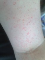 08052010005.jpg