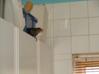 DSCF4318.JPG