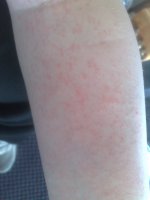 08052010006.jpg