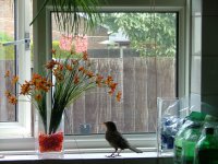 DSCF4319.JPG