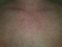 08052010009.jpg