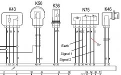 throttle bdy circuit.JPG