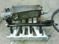 IMG_20110806_203551.jpg