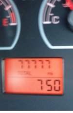 77777.jpg