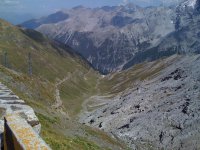 IMG_3108.JPG