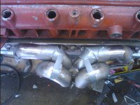 IMG_20110420_173108.jpg