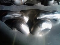 IMG_20110421_173442.jpg