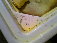 2012-07-22-112.jpg 2012-07-22-112.jpg